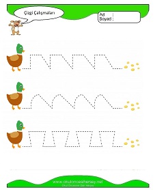 Çizgi Çalışma Sayfaları